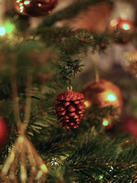 Día Segundo: Novena de Navidad