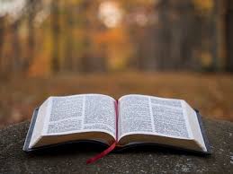 Palabra de Dios