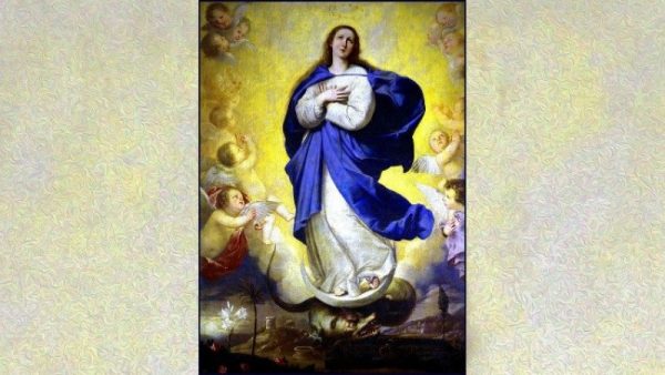 Inmaculada Concepción