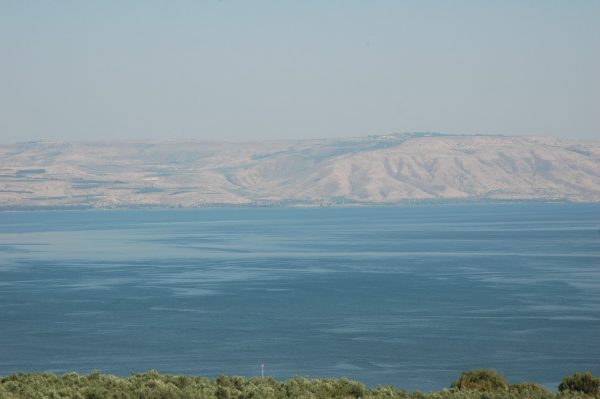 TIENES VOCACIÓN Y LO SABES