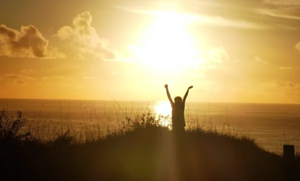 Vana gloria. ¡HERE COMES THE SUN, cizaña y discordia, de una sola pieza