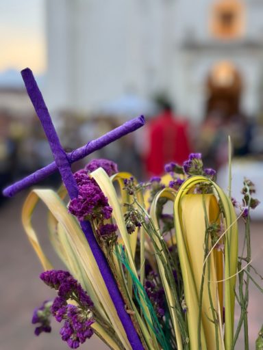 Domingo de ramos 