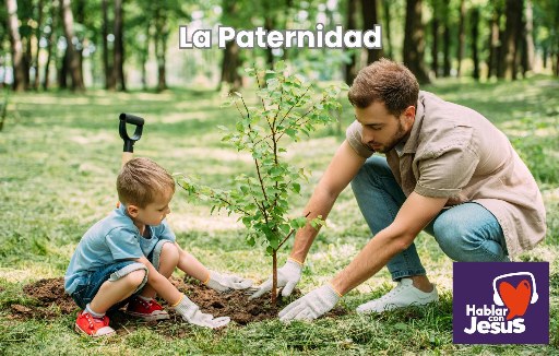 La Paternidad