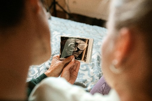 La Paternidad
