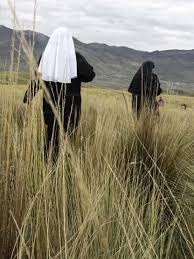 nuestros talentos, mision, evangelizar