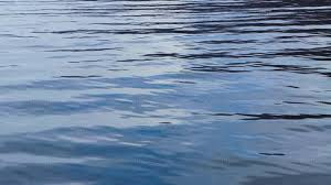 agua, 