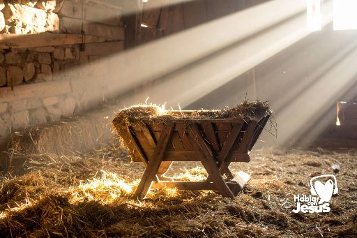 Por qué te preparas en el Adviento