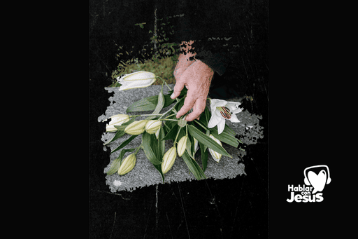 La muerte vista por un niño